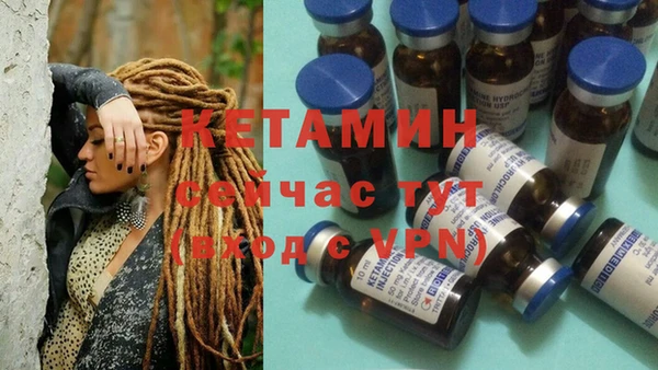 трава Сосновка