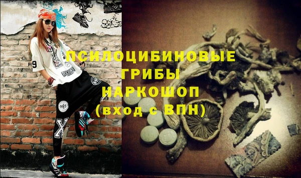 a pvp Армянск