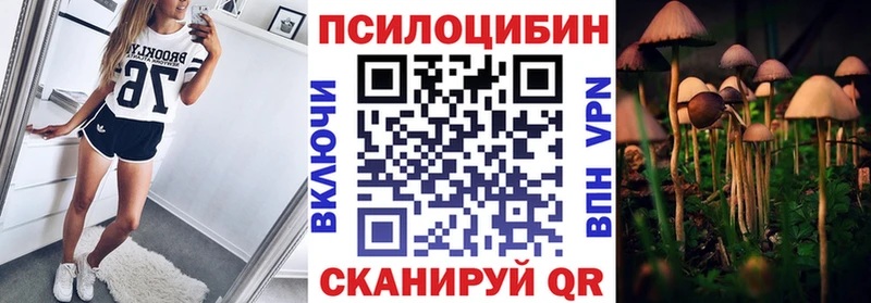 Псилоцибиновые грибы ЛСД купить цена Новозыбков